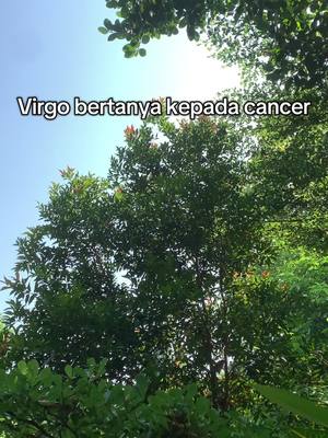 A view of a lush green tree against a bright blue sky. The text overlay, in a white sans-serif font, reads "Virgo bertanya kepada cancer."