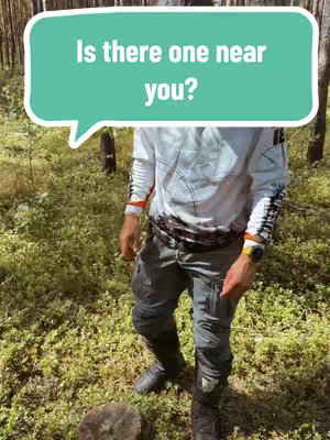 A person stands in a forest, wearing a white shirt with a design and grey pants. A speech bubble with the text 'Is there one near you?' floats above the person. The background includes trees and ground vegetation.