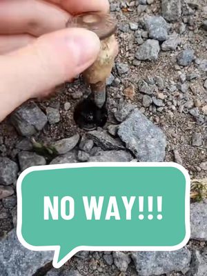 An overhead shot of a hand holding a small, cylindrical object above a ground of small gray rocks. Beneath the object is a small hole. A speech bubble in teal green text with the words "NO WAY!!!" in bold white letters.