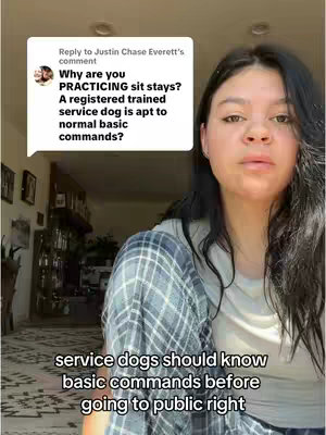 The cover image features a woman with dark hair, a plain white t-shirt, and a blue-and-white checked shirt over it. Her gaze is directed towards the viewers. A speech bubble displays text from a user in the upper left corner. Text at the bottom reads 'service dogs should know basic commands before going to public right.'