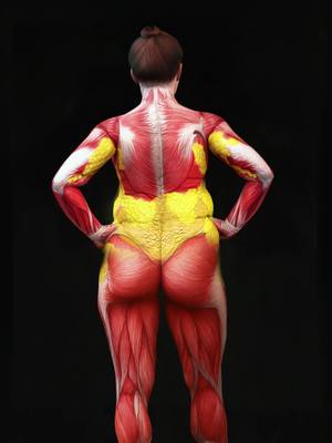 The image displays a 3D rendering of a woman from the back, with visible muscle structure and fatty tissue highlighted in red and yellow, respectively, against a black background. The muscles are rendered in detail, particularly in the legs, back, and shoulders, with the fatty tissue outlining the midsection. The woman's hair is styled in a high bun, and her arms are resting at her sides. The overall composition emphasizes anatomical detail for educational or fitness-related content.