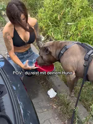 A woman in a black top and jeans is sitting next to a parked car, pouring water into a red bowl for a dog. The dog, wearing a harness, is drinking from the bowl. Green foliage is in the background.