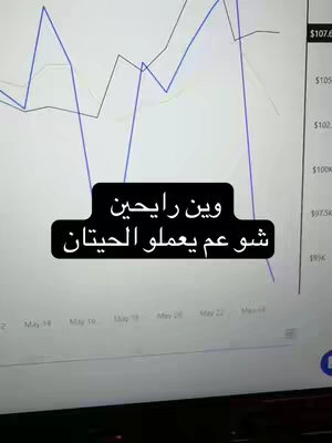 The cover image displays a computer screen with a line graph, likely representing financial data. A black rectangle overlays the graph, containing Arabic text. The background is a light gray, and the overall composition emphasizes data presentation with textual overlays.