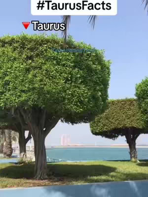 A sunny outdoor scene featuring manicured green trees by a body of water, possibly a lake or ocean. The trees are shaped with flat tops, and in the background, there's a cityscape skyline under a blue sky. The composition is balanced, with the trees in the foreground and the water serving as a mid-ground layer.