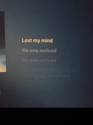 The cover image shows text layers on a dark background. The text includes the phrase "Lost my mind" in a bold, upward-sloping font, followed by "No one noticed" repeated twice. The text is in a golden yellow color, creating a contrast against the dark background. The composition is simple and direct.