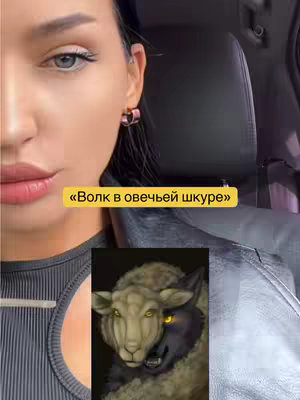 The cover image shows a close-up of a woman’s face from the nose up, with a text overlay. Below her face, there is an image of a wolf in sheep's clothing.