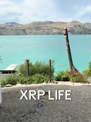 A vibrant landscape scene with a teal-colored lake surrounded by green hills. A dock-like structure is visible on the left, and a wooden post with a birdhouse-like structure stands in the center foreground. The text 'XRP LIFE' is overlaid in a white, bold font at the bottom.