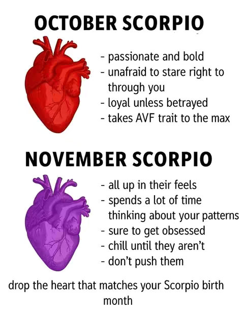 The image is a graphic showcasing characteristics of Scorpios for October and November. It's divided into two parts, each with a stylized illustration of a heart. The October section features a red heart with text describing Scorpios as passionate, bold, and loyal. The November section presents a purple heart with text describing them as emotional, spending time in their feelings, and getting obsessed. The text at the bottom instructs viewers to choose the matching heart depending on their birth month.