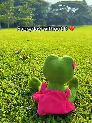 A plush green frog wearing a pink dress is sitting in a green grassy field with the back to the camera. In the background, there are trees and green grass.
