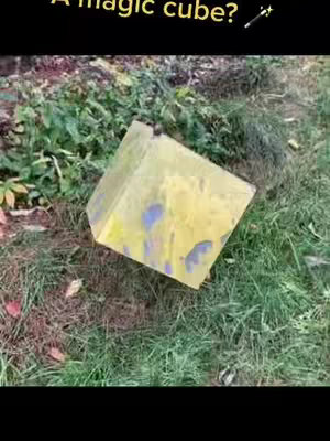 The image presents an outdoor scene featuring a translucent, yellowish cube resting on grass and foliage. The cube has some blue markings on its surface and appears to be reflecting the surroundings. The background includes green plants and grass, and the overall lighting suggests daylight. The words "A magic cube?" appear at the top of the image.