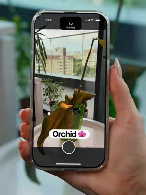 A hand holding a smartphone displays an app interface with a plant, the screen is showing the identified plant as "Orchid" along with an orchid icon. The background reveals a blurred view of an apartment building through a nearby window.