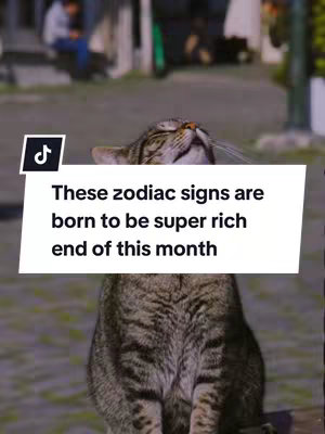 A cat is sitting against a blurred outdoor backdrop of a walkway and buildings. The cat faces upwards with its eyes closed. A white rectangle hovers over it, containing text.