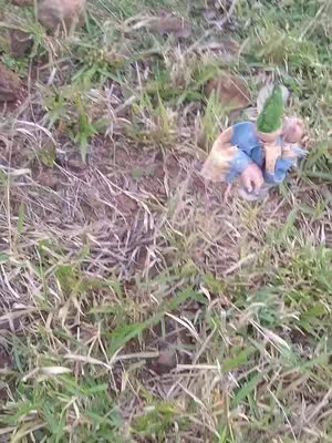 An image shows a patch of grass mixed with dirt at close range. A small, doll-like figure in blue and beige clothing lies in the grass, its head and a green object visible. The grass is primarily brown and yellow, adding to a natural, outdoorsy feel, with the doll as the focal point of the scene.