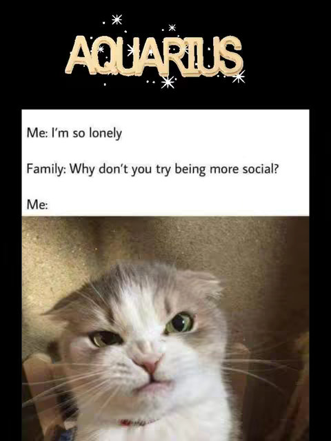The cover image is a meme. At the top, there is the word "AQUARIUS" with a gold and sparkle font over a black background. In the middle, there's a text overlay saying "Me: I'm so lonely Family: Why don't you try being more social? Me:". Below the text, the image focuses on a grumpy-looking cat.