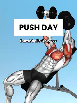 A 3D anatomical model of a man exercising on an incline bench with dumbbells. The man is rendered in a gray and white color scheme with red muscle highlights. The upper torso and arms are positioned above the bench in the act of pressing the dumbbells upwards. The background is a gradient blue. The overlaid text reads 'PUSH DAY' and 'Dumbbells Only >>>'.