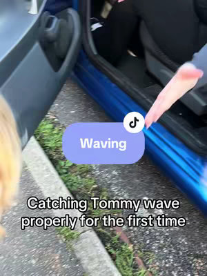 The cover image displays a person's hand waving, possibly from inside a blue car, with the car door open. A dog's face can be seen partially in the frame.