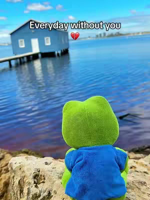 A plush toy frog, viewed from behind, sits on a rocky area. The frog faces a serene waterscape featuring calm blue water, a small building on stilts, and soft, hazy background. The sky is a pale blue with a few scattered clouds. Text overlays read "Everyday without you" with a broken heart emoji.