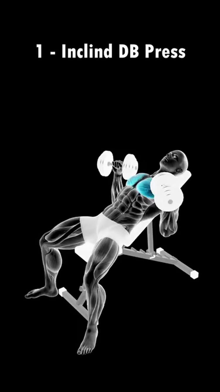 A black and white illustration depicts a person performing an incline dumbbell press on an incline bench. The person is lying inclined, holding two dumbbells, with the chest muscles highlighted in a light blue, set against a stark black background.