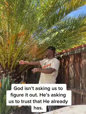 A man in a white t-shirt and a black cap stands in front of a large palm tree, gesturing with his right arm. Below him, a white rectangular text box contains a motivational quote.
