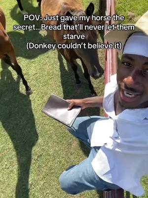 The cover image shows a man in a white shirt and blue jeans, holding a tablet. He is smiling at the camera. Behind him, a brown and black horse is shown. Text overlayed on the image says 'POV: Just gave my horse the secret...Bread that'll never let them starve (Donkey couldn't believe it)'
