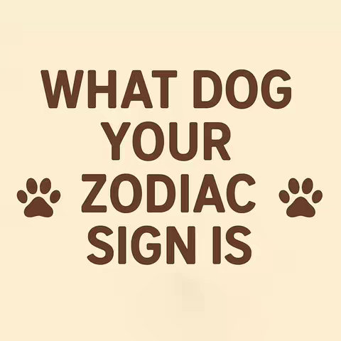 The image is a square layout dominated by text. Large, brown, capitalized text reads 'WHAT DOG YOUR ZODIAC SIGN IS'. The text is centered. Two paw print icons flank the text, one on each side. The background is a solid, beige color.