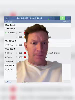The cover image features a man in a white t-shirt, partially obscuring a screen showing a schedule or calendar interface. The screen displays text and data, likely related to financial trading or planning. The layout is a split of a man in front and the screen behind him with a blue colored top. The man has short hair and dark eyes.