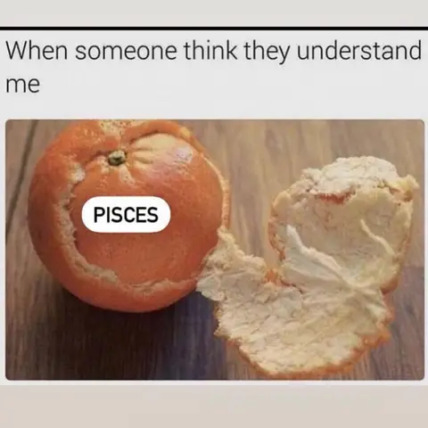 The cover image is a meme depicting a peeled orange next to an unpeeled orange with the label 'Pisces' overlaid. The peeled orange represents someone who is understood, while the unpeeled represents the private self. The background is a light wooden surface, and the meme is framed within a white border.