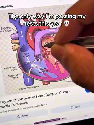 The image appears to be a screenshot of a digital display showing a detailed diagram of the human heart, with anatomical labels. A hand, presumably holding a stylus, is pointing at the heart, interacting with the image. Overlay text says, " The only way I'm passing my tests this year." The composition is a close-up shot, highlighting the educational or explanatory nature of the content.