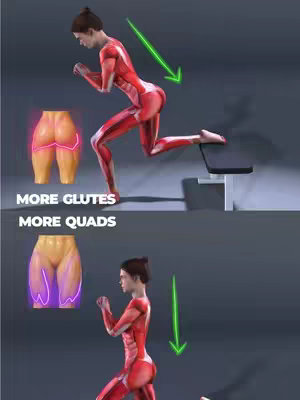 Two illustrations demonstrating the Bulgarian split squat. Above, a person in a red anatomical suit is leaning forward, with a highlighted illustration of glutes on the left side and a green arrow indicating diagonal movement. Below, the person is standing upright with a glowing quads illustration and a green arrow pointing straight down. The text 'MORE GLUTES' is above the quad illustration, and 'MORE QUADS' is below it, indicating variations.