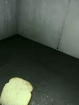 A slice of bread on a dark, slightly wet surface. The setting is a dark, grimy room with concrete walls.