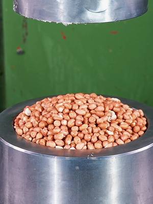 The image shows a close-up view of a metal cylinder filled with peanuts. A larger metal structure presses down on the peanuts from above. The background is a solid green color.
