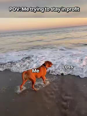 A shot of a dog running on a beach away from incoming waves. Text overlays show labels: "POV: Me trying to stay in profit" above, "Me" over the dog, and "Loss" over the waves.