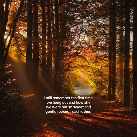 A nature scene is used as a background with tall trees, creating a tunnel effect. The sunlight streams down through the trees, illuminating the path in the distance and the surrounding foliage. The image has a warm, golden color scheme that's used throughout the cover image. The text is centered inside the image and is in a simple font. The background is a forest path, where the trees are tall, and the lighting adds depth and mystery. This scene with the text suggests affection/love.