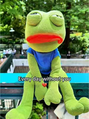 A plush frog toy with large, sad eyes and an orange mouth is the central focus. The frog is wearing a blue shirt and appears to be sitting or leaning against something. Behind the frog is a blurred background of greenery and a building. The text overlay reads 'Every day without you' with a small red heart below it.