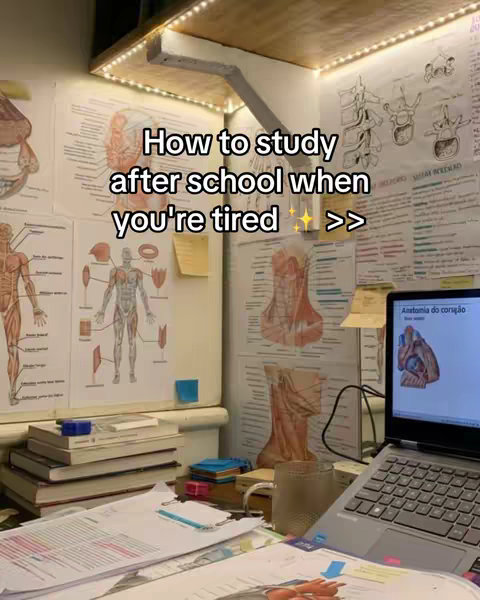 A well-lit workspace is shown. Anatomy diagrams and textbooks adorn the walls.