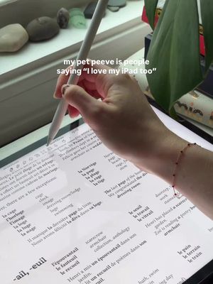 A hand holding a white stylus is writing on a tablet, highlighting text on screen. The screen displays text in French with English translation, and the image is shot at an angle with a window visible in the background. The text overlay at the top says, \"my pet peeve is people saying \"I love my iPad too\"\".