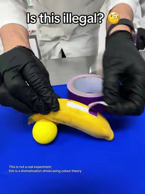 The image depicts a close-up shot of hands in black gloves interacting with a banana, yellow sphere, and purple tape roll. The setting is a blue surface, likely a counter or tabletop, against a white backdrop. Text overlays include a question and a disclaimer about the experiment.