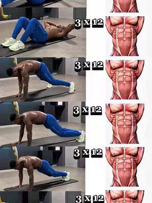 The cover image displays a split composition showcasing a series of exercises and anatomical illustrations. On the left side, five distinct frames depict a person performing various abdominal exercises, while the right side presents corresponding illustrations of the abdominal muscles. Numbers are provided for sets and repetitions.