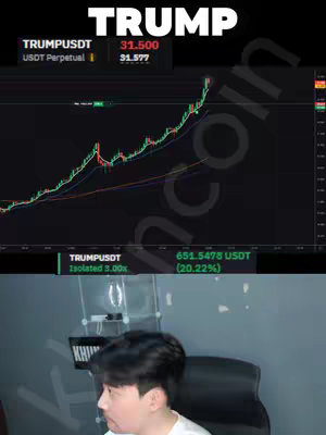 The cover image shows a split screen. The top half features a financial chart with a line graph, and the word "TRUMP" written in large white letters above it. The bottom half shows a man in a white shirt sitting down, presumably the creator of the video. The image's color scheme is primarily black, green, and white.