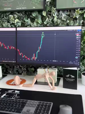 The cover presents a desk scene with two computer monitors displaying financial charts. Money and a notepad are on the desk. A wooden mannequin and a keyboard are also visible. The background is covered in green plants.