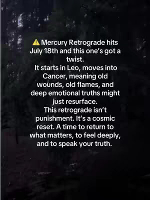 Text overlay on a dark and blurry natural background, the text is in a light color.