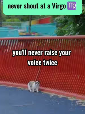 A video still shows a red-striped wall and a blue surface, possibly a floor or path. In the foreground, a small, white and grey cat is walking on the surface. At the top of the image, the words "never shout at a Virgo" are set against a light green backdrop, followed by the Virgo zodiac glyph. Below, a text overlay "you'll never raise your voice twice" is written. The overall composition suggests a humorous take on the Virgo zodiac sign.
