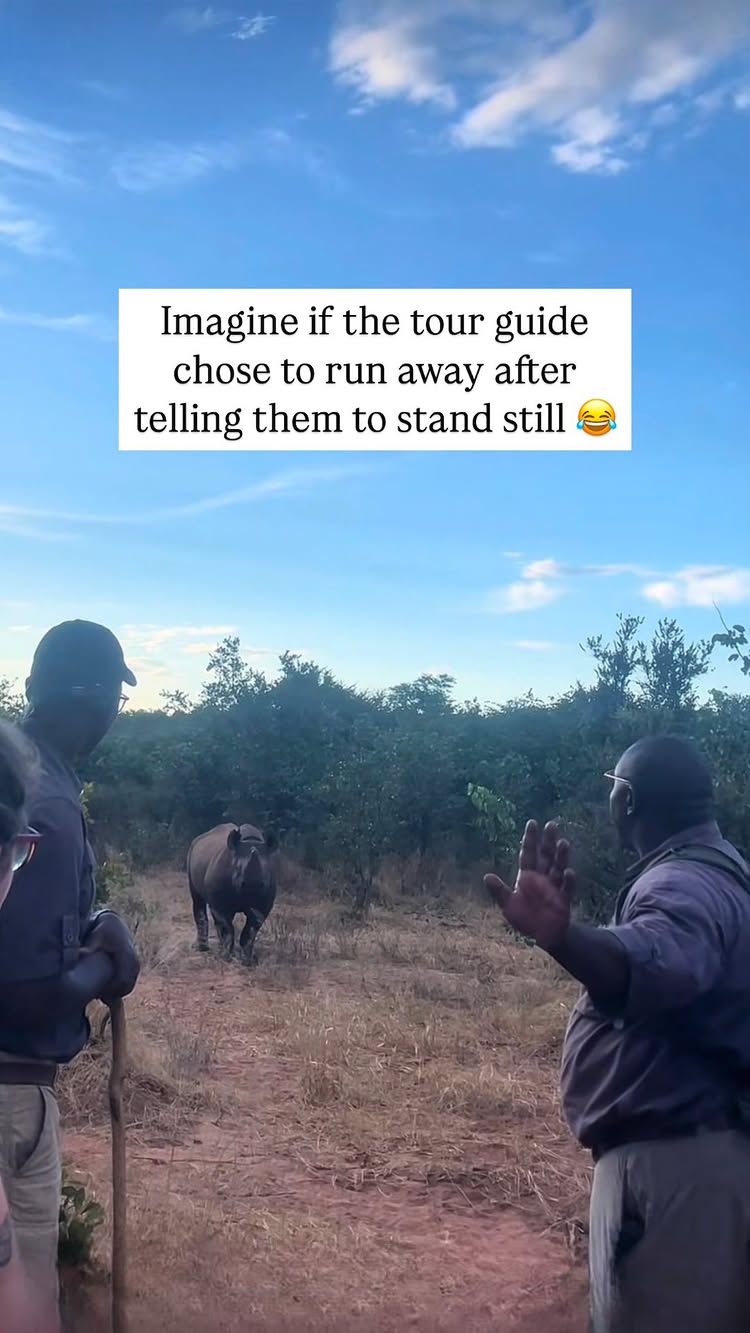 The cover image shows a scene with a blue sky background. In the foreground, there are three people, appearing to be on a safari. Also, there is a rhino walking towards them. A text overlay appears in a rectangle shape.