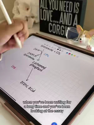 A person's hand holding a white stylus is writing on a tablet. The tablet's screen displays a diagram with chemical formulas and arrows. The background includes a sign that reads, "ALL YOU NEED IS LOVE… AND A CORGI."