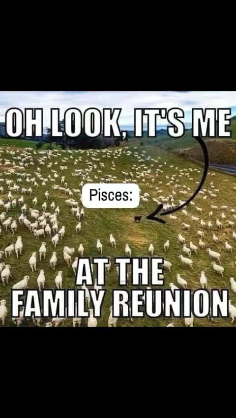 The cover image shows a field of sheep, with the text overlay 'OH LOOK, IT'S ME' at the top. Below, there's a text label 'Pisces:' in a white box, with an arrow pointing to a single black sheep among the white ones. The text 'AT THE FAMILY REUNION' is at the bottom. The overall image is a humorous take, contrasting a unique individual with a larger group.