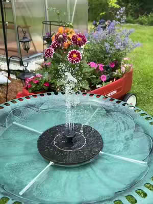 The image features colorful flowers in a garden setting. A water fountain is in the foreground with water spraying upwards. The background consists of a greenhouse and the greenery of yard.