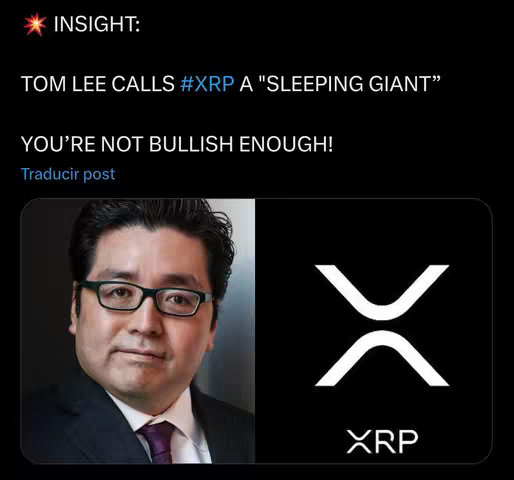 The cover image is split into two vertical sections. On the left, there's a photograph of a man wearing glasses, a suit, and a purple tie, likely Tom Lee. The right side features a black background with the white XRP cryptocurrency logo and the letters "XRP" below it in white.
