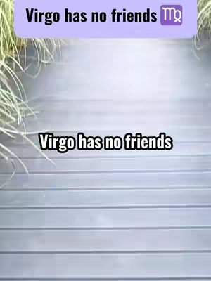 The image shows a straight path made of wooden planks with text overlays. The path is slightly angled, leading from the bottom of the frame towards the top, where there are blades of tall green grass visible. Two text overlays are present. One, at the top in a light purple rectangle, says "Virgo has no friends". Further down, the text "Virgo has no friends" is written in a simple font.