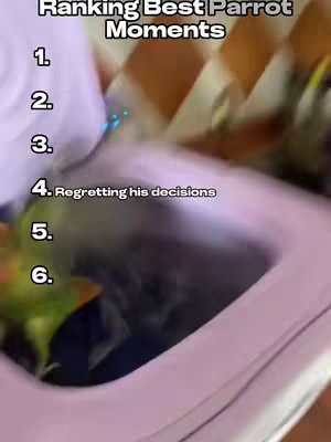 The image shows a blurred, low-angle view of a light-colored area, possibly a corner of a room, with text overlays. The text lists rankings, with numbers 1 through 6 listed. At the bottom, the phrase '4. Regretting his decisions' appears.