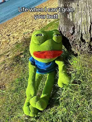 A photo featuring a plush frog toy dressed in a blue shirt, seated on grass with a tree trunk behind it and a beach scene in the background.
